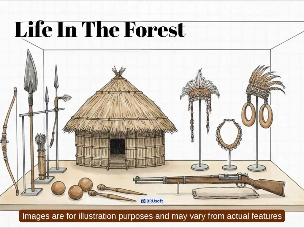 Illustration of tribal hut models, traditional weapons, ornaments, and cultural artifacts displayed in the ethnology section of Gass Forest Museum Coimbatore
