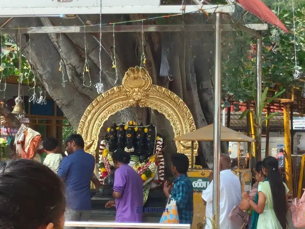 Panchamukha Vinayagar shrine at Marudhamalai Temple in Coimbatore, worshipped beneath sacred intertwined trees